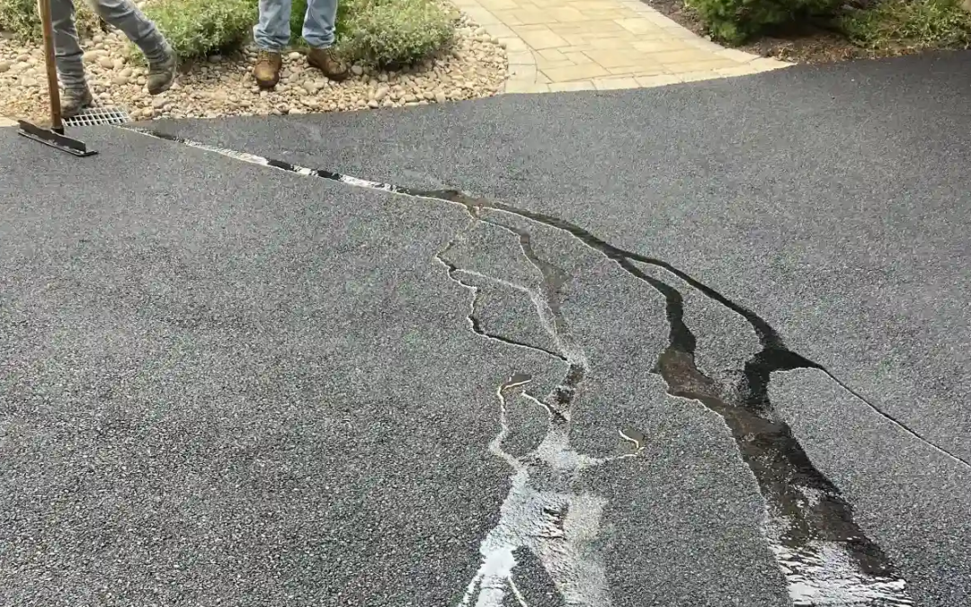 Sealcoating 101: When to Seal Your Asphalt and Why It Matters