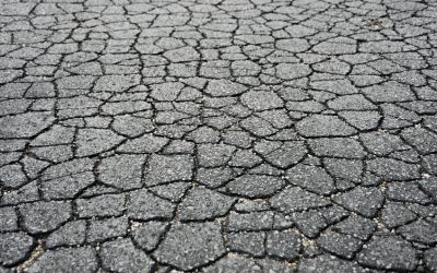 Alligator Cracking Explained, What Causes It and When Asphalt Repair Is Necessary
